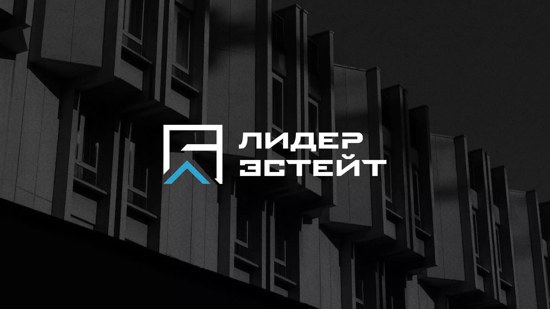 Разработка логотипа агентства недвижимости «Лидер Эстейт» в Байкальске